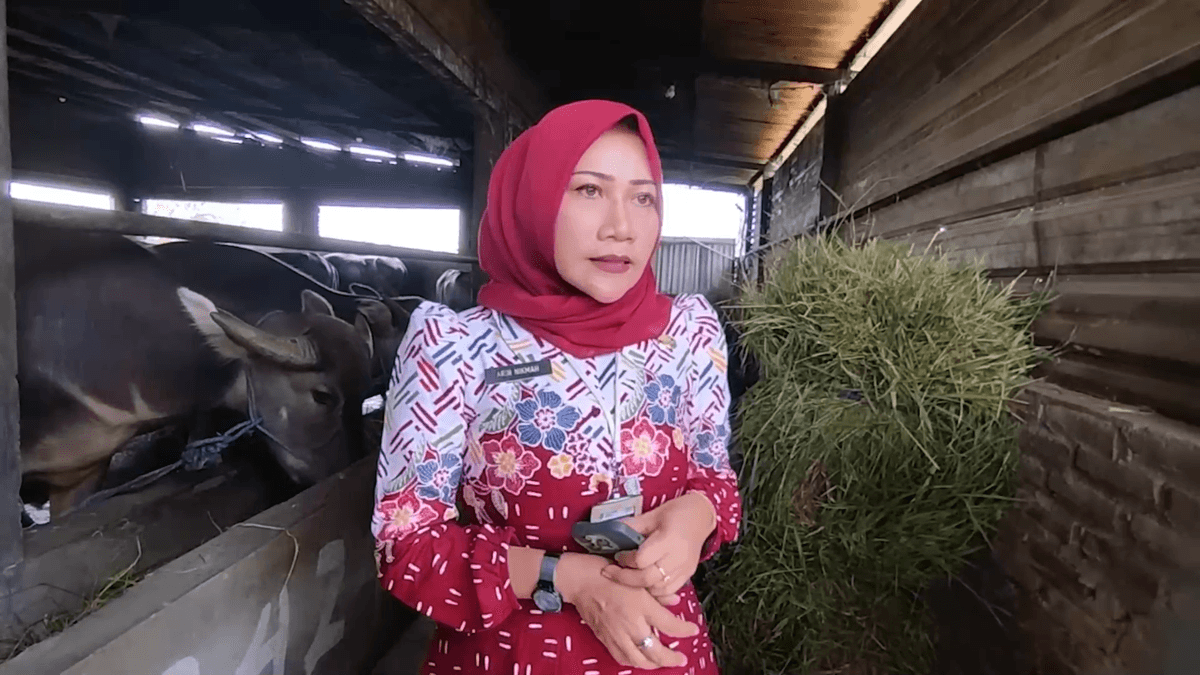 Antisipasi PMK, Dispertan Kudus Perketat Skrining Kesehatan Hewan Kurban