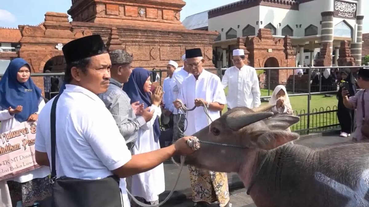Kirab Kerbau Warnai Tradisi Buka Luwur Sunan Kudus
