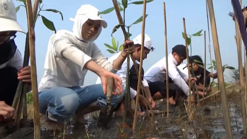 Udinus Gelar Bakti Lingkungan, Tanam 3 Ribu Mangrove di Pantai Tapak Tugu